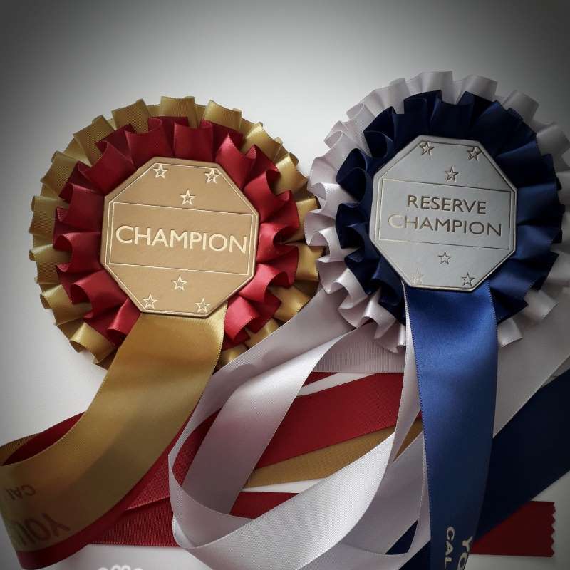Custom Rosettes